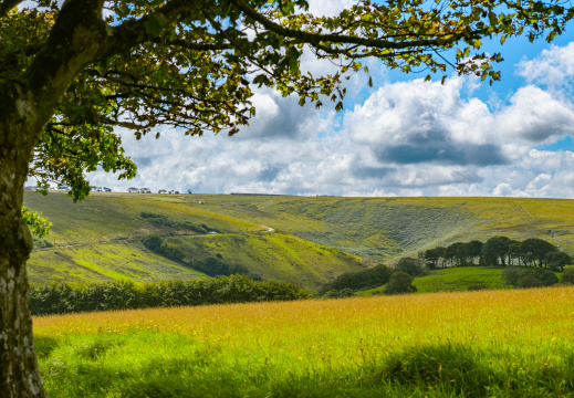 Exmoor Landscape