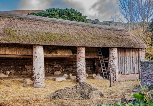 Historic Environment